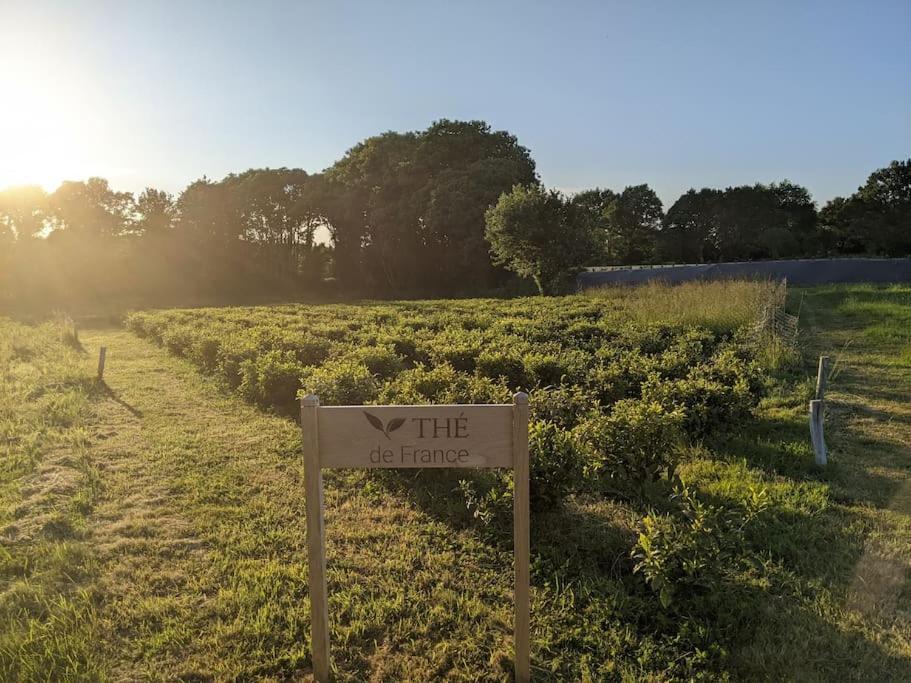 Maison Typique Bretonne Avec Toit De Chaume Camors Exterior foto